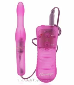 10 Function Vibrating Anal Toy