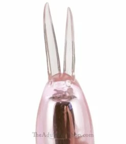Rabbit Bullet Female Vibrator -Adult Toy Sales Store bunnybulletvibrator3