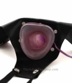 Crystal Jelly Hollow -Adult Toy Sales Store cjhollow4