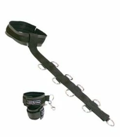 Neck Wrist Restraint