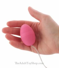 Passion Pink Vibrating Egg -Adult Toy Sales Store passionegg1