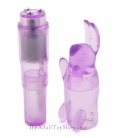 Pocket Party Rabbit Clit Vibrator
