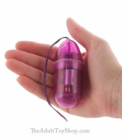 Remote Control Vibrating Egg -Adult Toy Sales Store remoteeggvibrator4