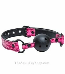Sinful Ball Gag