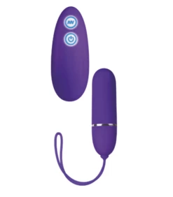 Lovers Remote Control Couples Sex Toy -Adult Toy Sales Store se007615bulk