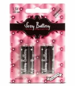 AA Alkaline Batteries - 4 Pack