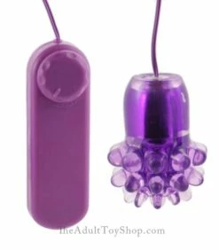 Tickler Egg Vibrator