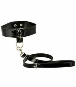 Shiny Leash and Collar