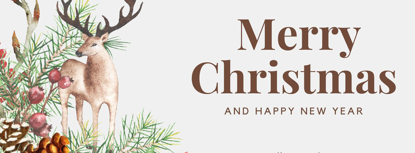 Adult Toy Sales Store 1 Adult Toy Sales Store -Adult Toy Sales Store 158